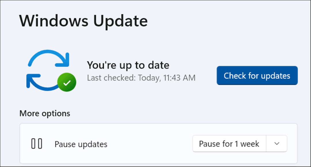 Windows Update