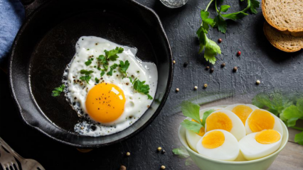 Diät mit gekochten Eiern! Hält dich das Ei voll? Die "Ei" -Diät, die 12 Kilo pro Woche verliert