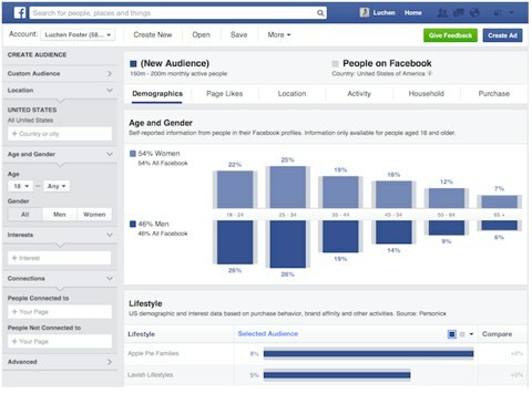Facebook Publikum Einblicke Tool