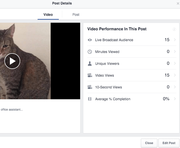 Facebook Live Video Einblicke