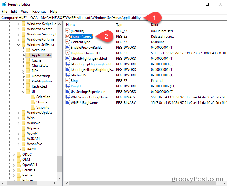 Doppelklicken Sie auf den BranchName-Schlüssel in der Windows-Registrierung