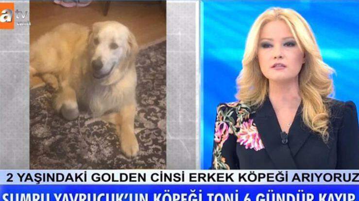 Moderator Müge Anlı kündigte an: Der Hund der Schauspielerin Sumru Yavrucuk wurde gefunden ...