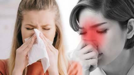 Was ist allergische Rhinitis? Was sind die Symptome einer allergischen Rhinitis? Gibt es eine Behandlung für allergische Rhinitis?