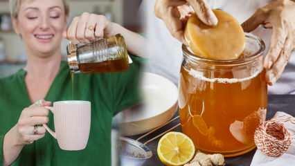 Macht Kombucha Tee schwächer? Wie macht man Kombucha zum Abnehmen? Vorteile von Kombucha-Tee