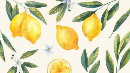 Die besten Rezepte mit Zitrone! Das einfachste Zitronendessert-Rezept