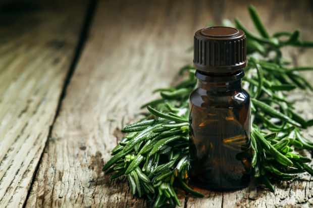 Teebaumöl wird zur Behandlung von Akne und Hautunreinheiten verwendet