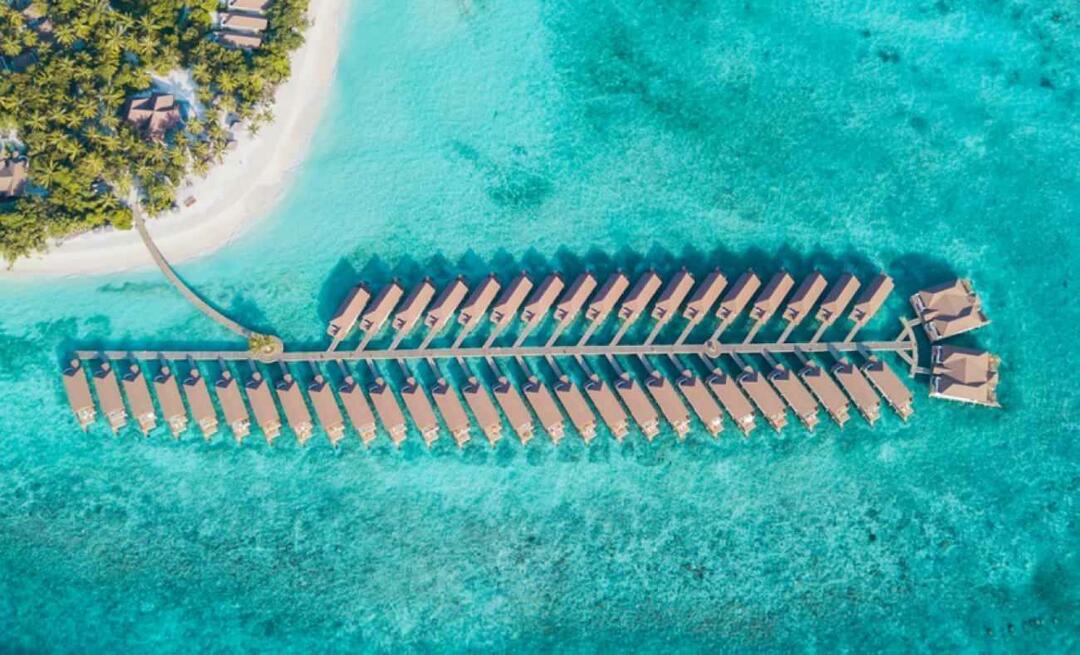 Ihr Traumurlaub wird auf den Malediven wahr!