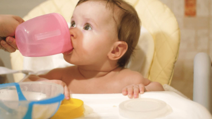 Wann bekommen Babys Wasser? Wird einem Baby, das mit Formel gefüttert wird, beim Übergang zu Ergänzungsfutter Wasser gegeben?