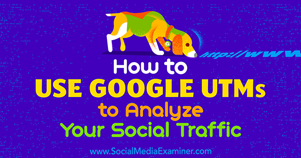 Verwendung von Google UTMs zur Analyse Ihres sozialen Datenverkehrs mit Tammy Cannon im Social Media Examiner.