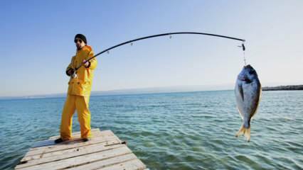 Wie fischt man? Was sind die Tricks beim Angeln mit einer Angelrute?