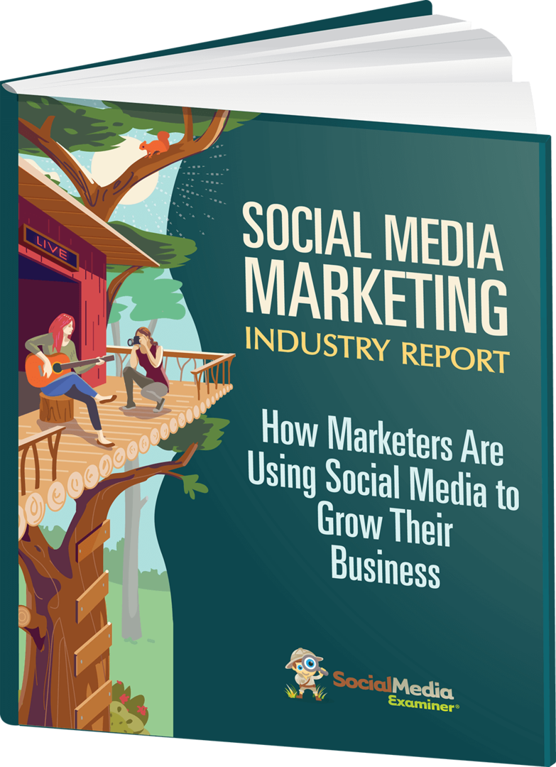 Bericht der Social Media Marketing-Branche 2020.