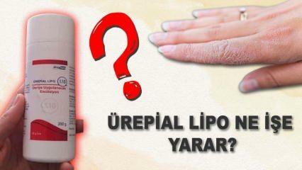 Was ist Urepial-Lipo-Creme, welche Wirkung hat sie? Was sind die Nebenwirkungen? Urepial Lipo-Creme 2023 Preis