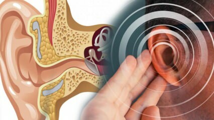 Ohrenkrankheit: Was verursacht Menier? Was sind die Symptome von Meniere? Gibt es eine Heilung?