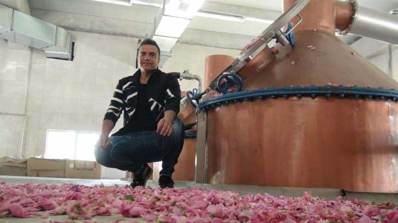 berdan mardini gründete in seiner heimatstadt mard eine rosenölfabrik