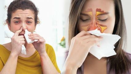 Was hilft gegen eine verstopfte Nase? Medikamentenfreie Lösung gegen verstopfte Nase!