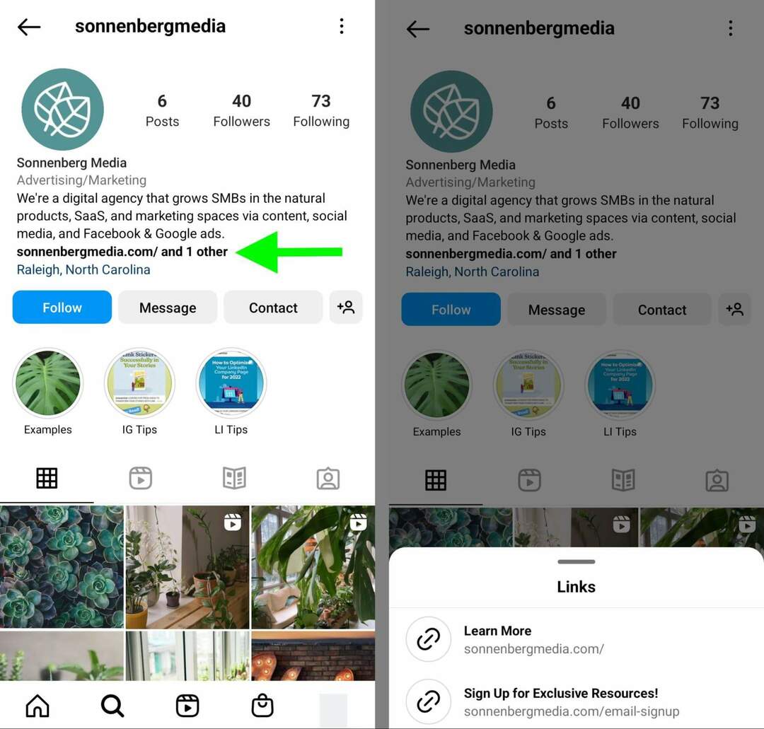 Anleitung zum Hinzufügen eines E-Mail-Opt-in-Formular-Links zu Ihrer Instagram-Bio, Direct-Link-Liste der Links, Anzeige der ersten URL, zusätzliche Links, vollständige Liste. Beispiel-4
