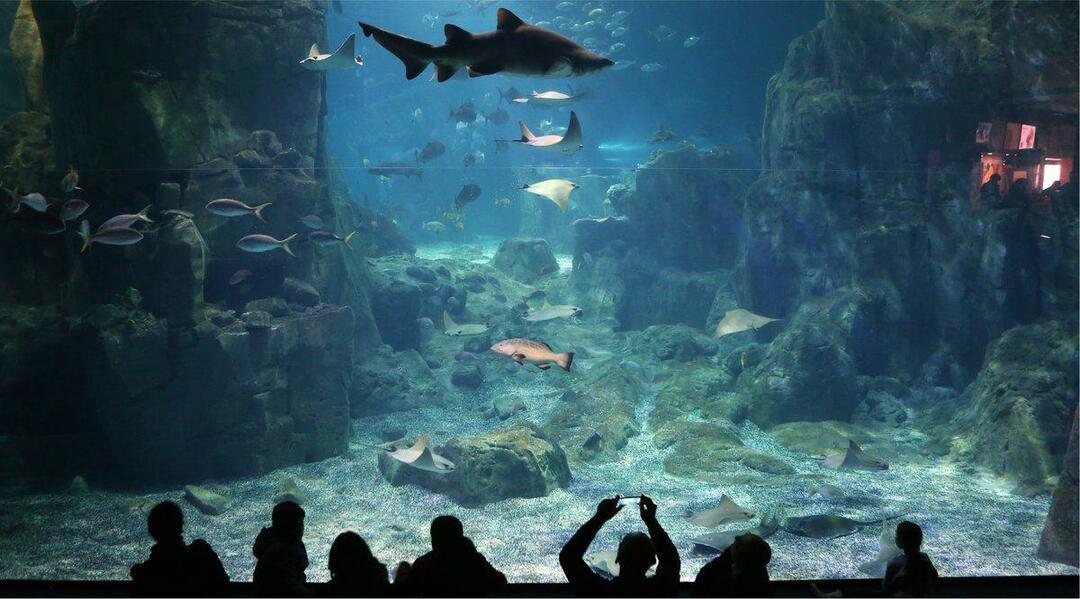 Istanbul-Aquarium