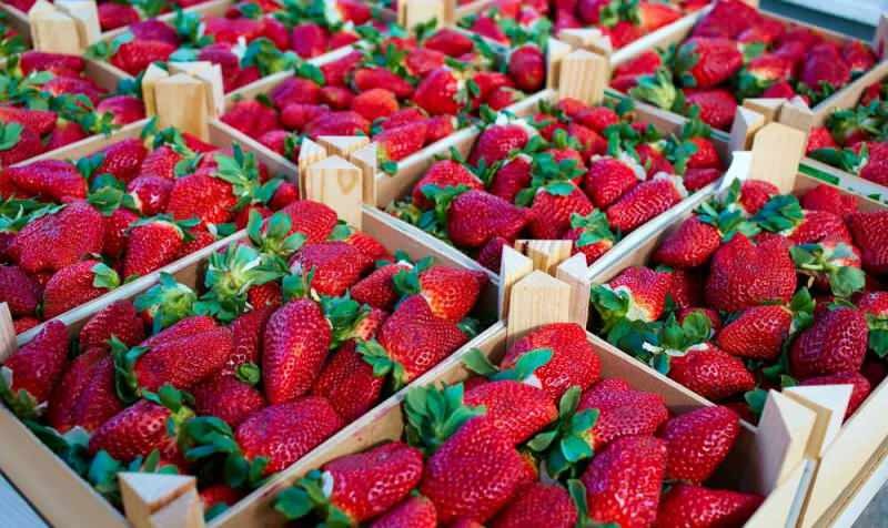 Befleckt das Essen von Erdbeeren während der Schwangerschaft Flecken? Bestimmt das Erdbeergeschlecht während der Schwangerschaft?