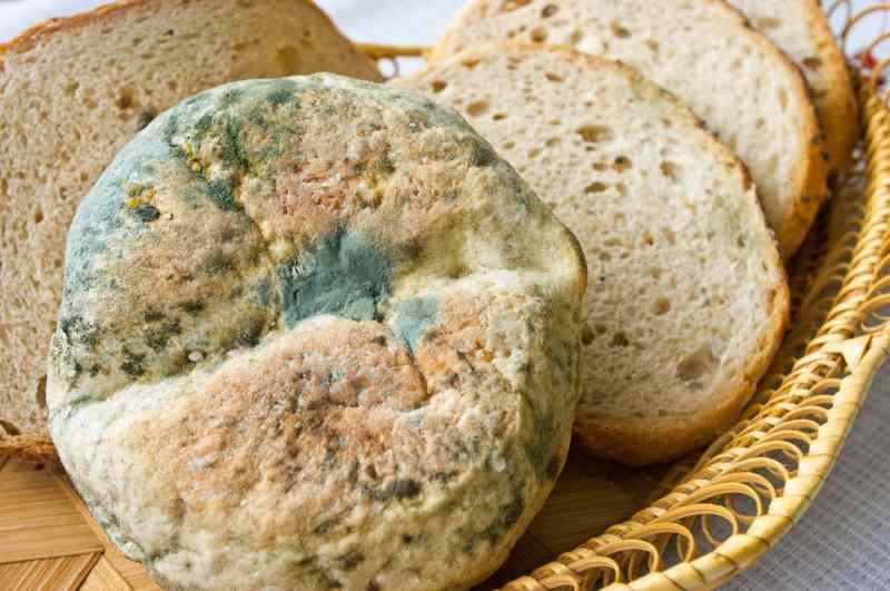 Möglichkeiten, um zu verhindern, dass Brot abgestanden und schimmelig wird