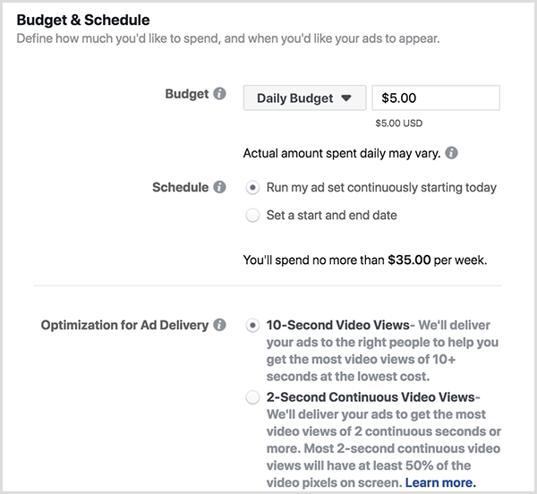 Zu den Optionen für das Facebook-Anzeigenbudget und den Zeitplan gehören ein Tagesbudget und 10-Sekunden-Ansichten.