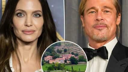 Brad Pitt Jolie im Fall Miraval Castle, der zu einer Schlangengeschichte wurde
