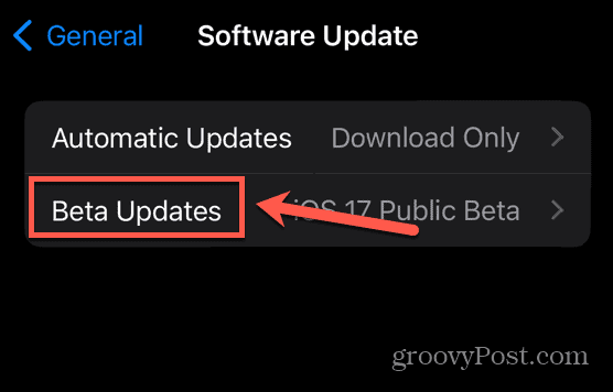 Beta-Updates für das iPhone