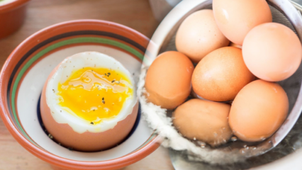 Was sind die Vorteile eines niedrig gekochten Eies? Wenn Sie zwei gekochte Eier pro Tag essen ...