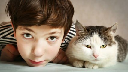 Welche Auswirkungen haben Haustiere auf Kinder?