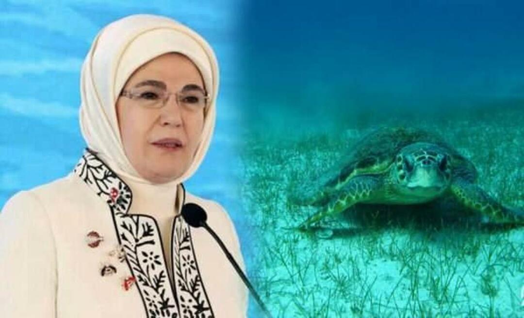 Sharing „Meeresschildkröte“ von Emine Erdoğan: „Solange wir sie beschützen, werden sie weiterleben“