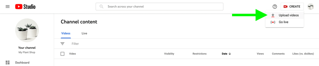 Anleitung zum YouTube-Markenkanal-Upload-Video-Schritt-29
