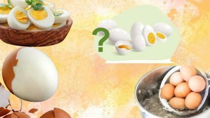 Diät mit gekochten Eiern! Macht das Ei satt? 12 Kilo in einer Woche 