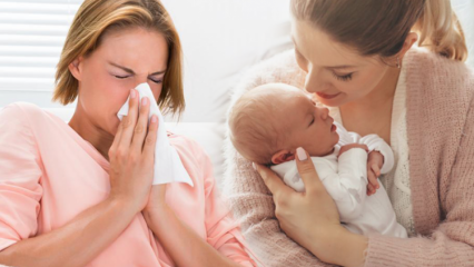 Wie geht die Grippe bei stillenden Müttern über? Die effektivsten Kräuterlösungen gegen Grippe für stillende Mütter