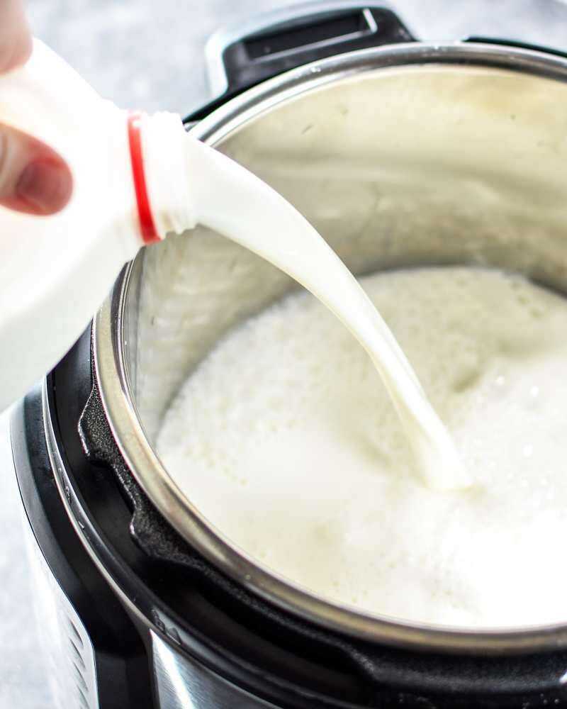 Es ist schwierig, die Konsistenz von Wasserbüffeljoghurt beizubehalten