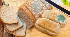 Wie verhindert man, dass Brot im Ramadan schimmelt? Möglichkeiten, um zu verhindern, dass Brot altbacken und schimmelig wird