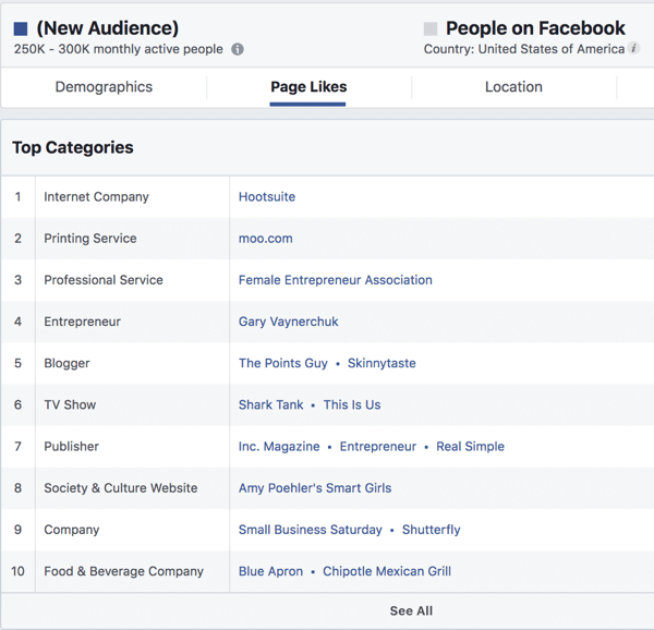 Page Likes für ein interessenbasiertes Publikum im Facebook Ads Manager.