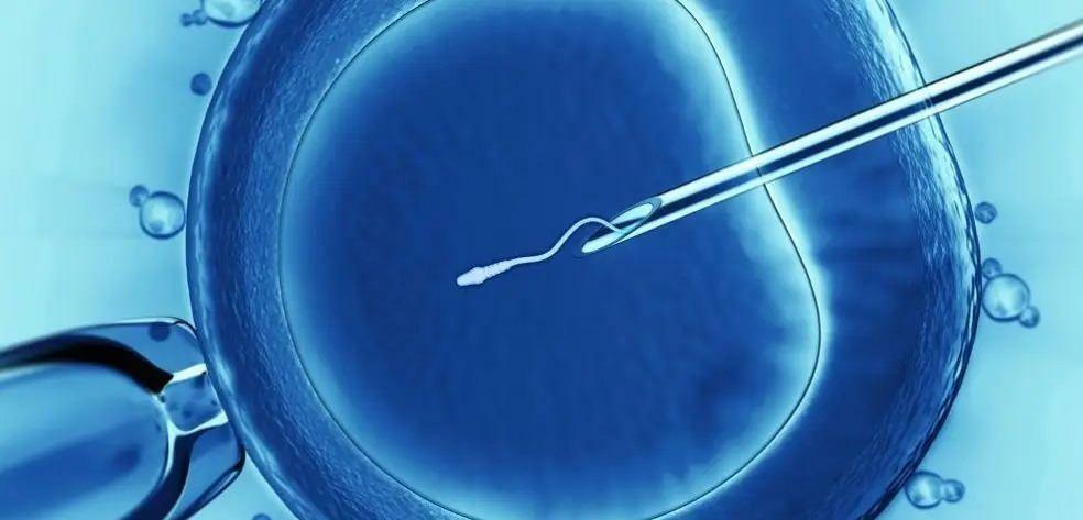 Wie wird eine IVF-Behandlung durchgeführt?