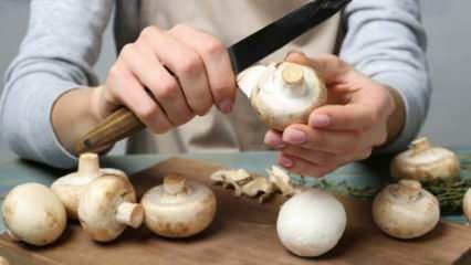 Wie Pilze schälen? Wie kann man die Schwärzung des Pilzes verhindern, was sind die Tricks?