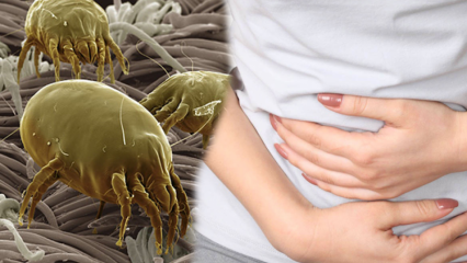 Wo ist der schmutzigste Teil des Körpers und wie wird er gereinigt? Was sind die durch Parasiten verursachten Krankheiten? 