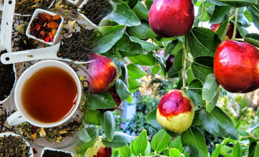 Welche Vorteile hat der von Ibn Sina empfohlene Jujube-Tee? Wofür ist Jujube-Tee gut?