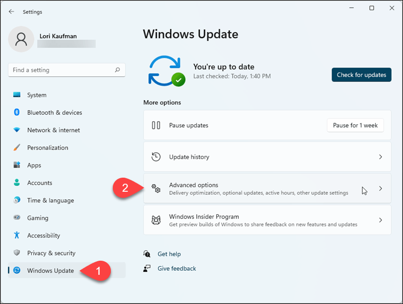 Gehen Sie zu Windows Update > Erweiterte Optionen in den Windows 11-Einstellungen