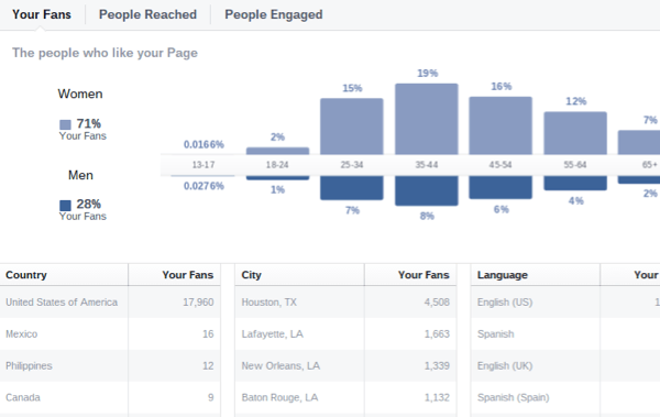 Facebook Einblicke Publikum Demografie