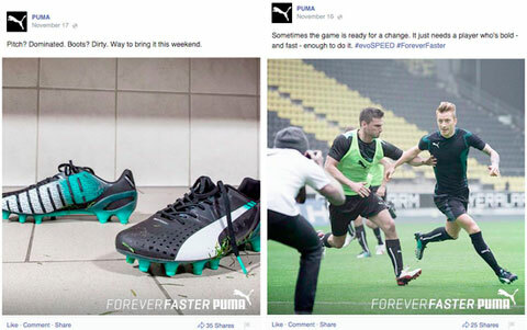 Puma Bilder