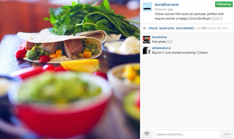 Bondi Harvest Instagram Profil