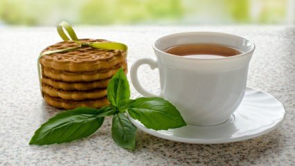 Was sind die Vorteile von Basilikum? Wo wird Basilikum verwendet? Wie macht man Basilikum Tee?