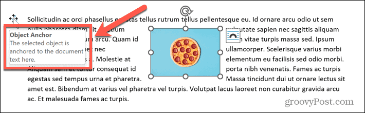 Informationen zum Wortanker