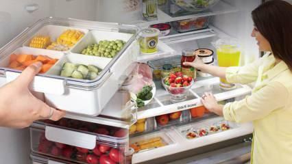 Was ist ein No-Frost-Kühlschrank? Was macht der No-Frost-Kühlschrank? No-Frost-Kühlschrankfunktionen