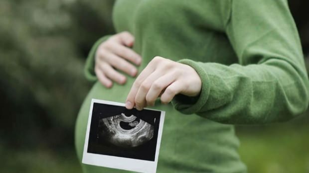 Welches Organ entwickelt sich zuerst bei Säuglingen? Babyentwicklung Woche für Woche