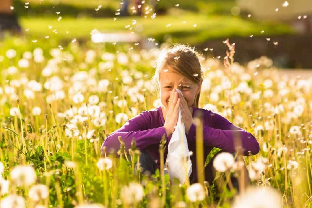 Was Sie beachten sollten, um Kinder vor saisonalen Allergien zu schützen