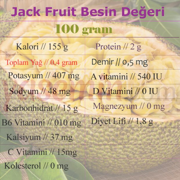 Was ist Jackfrucht? Was sind die Vorteile von Jack Fruit? Wie man Jackfrucht isst?
