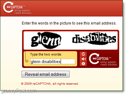 Verwenden eines Captcha-Dienstes, um Ihre E-Mail-Adresse vor Bots zu schützen und zu verbergen